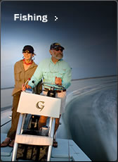 �t�B�b�V���O���f��